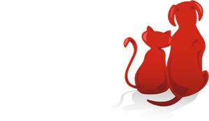 Anifit logo